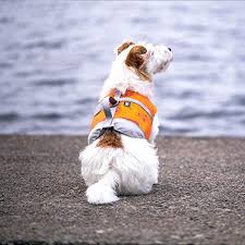Zoofari Dog life jacket Size Small 4-5kg Adjustable orange grey Floating