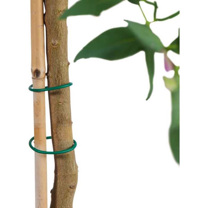 Growing Accessories Assortment Plants Plant Binding Wire 4.8m