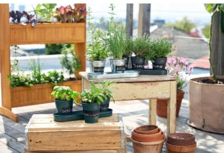 Parkside - Set of 3 Flowerpots, Herb Planter, Chalk Board, Silver .