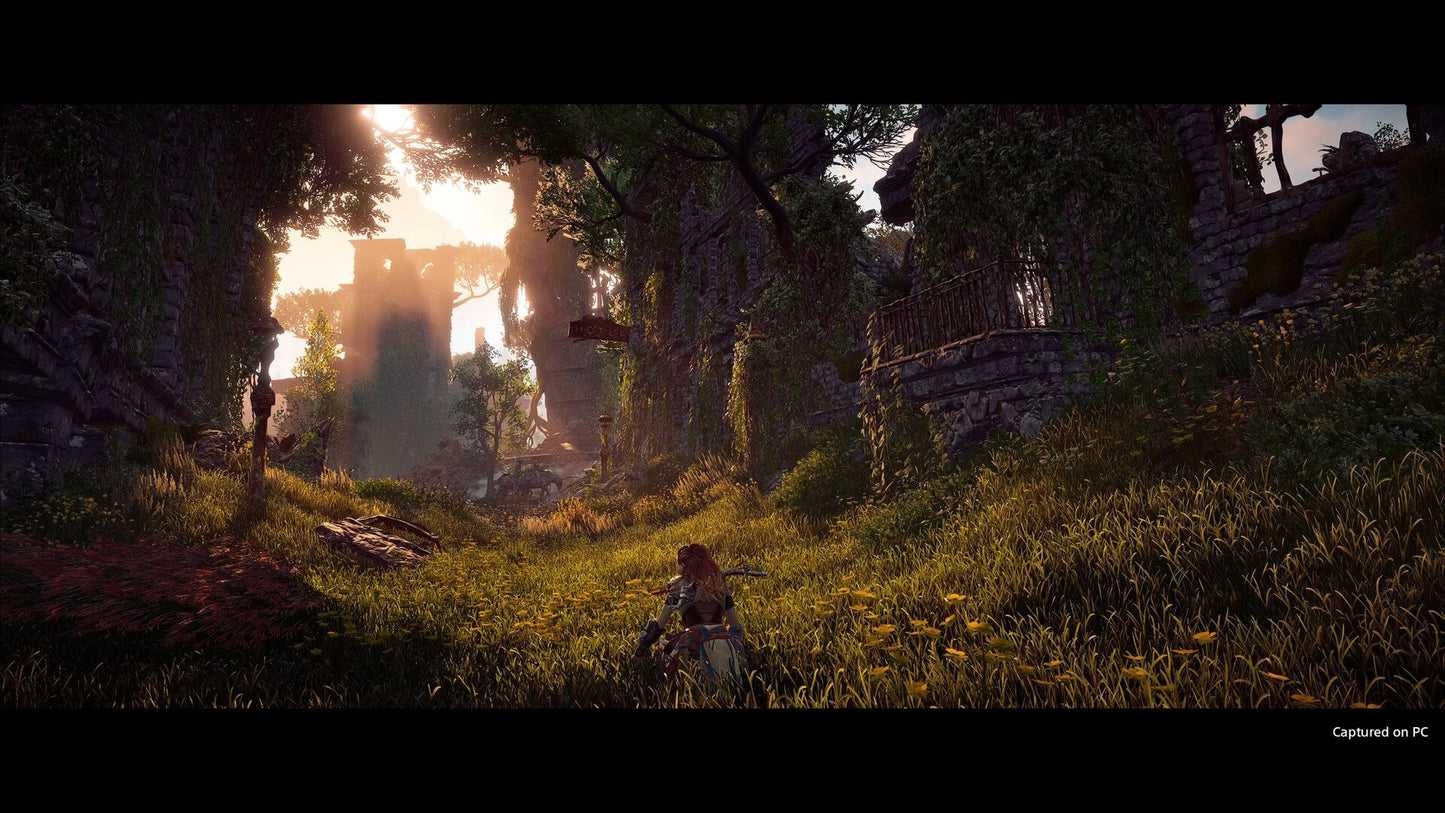 PS4 - Horizon Zero Dawn: Complete Edition