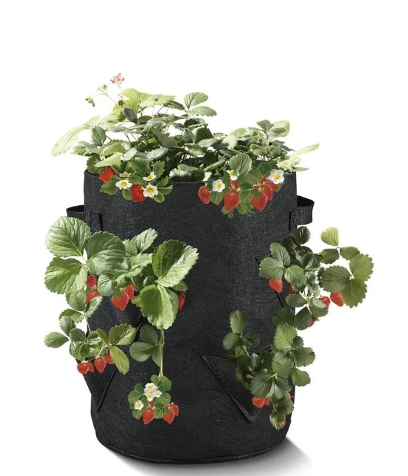 Parkside - Strawberry Grow Bags