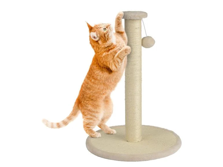 Zoofari - Cat Scratching Tree measuring approximately 38 x 54 cm, A sisal-Covered Pole, & an Attached Dangling Toy.
