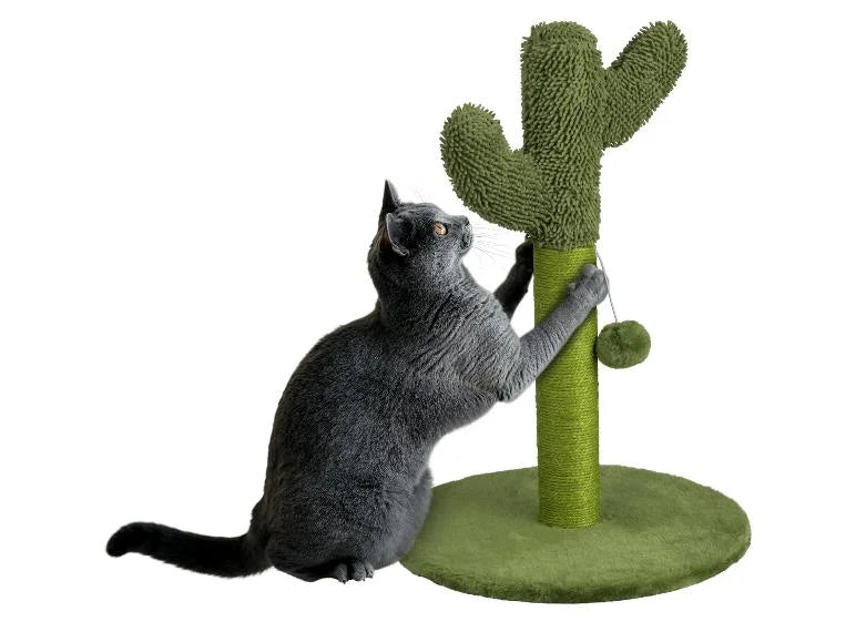 Zoofari - Cactus-Shaped Cat Tree Durable Sisal Scratching Surface &  a Base approximately 54 cm high with a 38 cm Base Diameter.