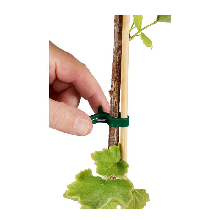 Parkside Growing Accessories Assortment Plants Clips XL Size
