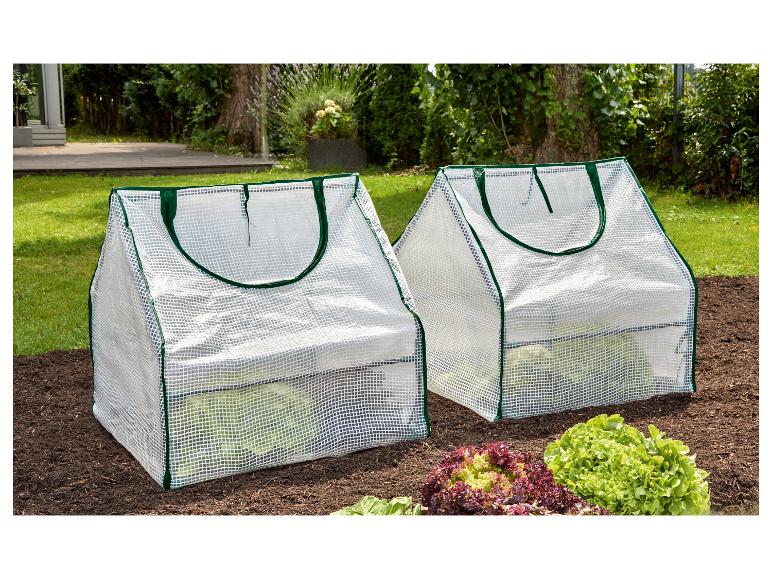 Parkside Foil Cold Frame Set – a compact greenhouse kit designed for growing seedlings, herbs, and vegetables. 60×60×60 cm.